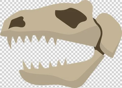 Showing theropod skull vector on transparent background highlighting jaws teeth Stock Illustration