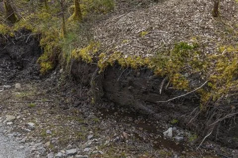 Showing a thick layer of Peat Stock Photos