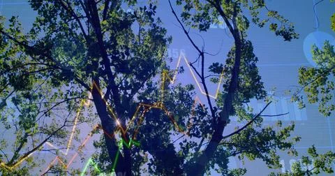 Showing tree at park filtering sunlight through leaves, with line graphs, Stock Photos