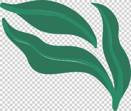 Showing vector featuring four overlapping green leaves with light midribs on Stockillustratie