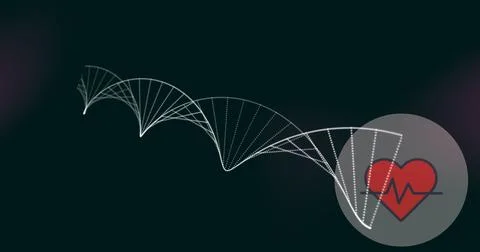 Showing white helix pattern arcing in digital space, with red heart icon, ECG Stock Photos