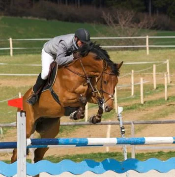 Showjumping competition Stock Photos