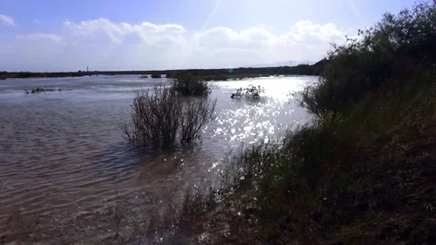 A shows a serene river stream with small waves brushing, stock footage. Stock Footage 304784594