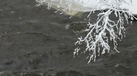 Showy branch over river at winter Stock Footage 10572259