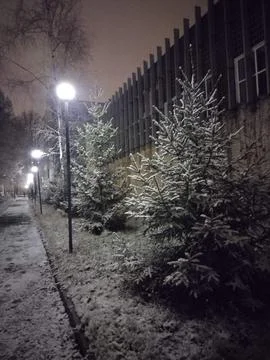 Showy winter Stock Photos