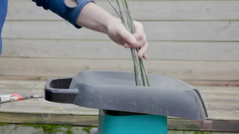Shred the branches with an electric Shredder Stock Footage 168947296