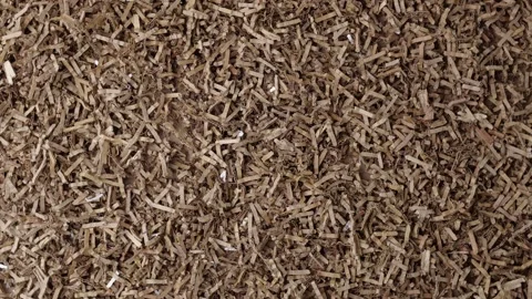 Shredded cardboard material for gift baskets, mulch, compost, worm bin Stock Footage 281211788