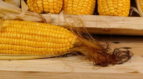 Shredded corn Stock Footage