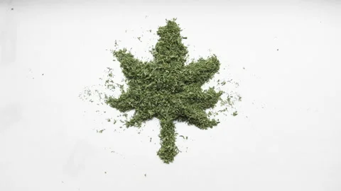 Shredded marijuana on white background going into word weed and leaf of cannabis Stock Footage 142507578