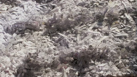 Shredded paper in a container for recycling Stock Footage 154353200
