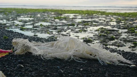 Shredded Plastic on Beach, Bali Stock Footage 147283927
