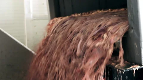 Shredded poultry waste will be processed. Industry. Plant for processing waste Video stock 192888940