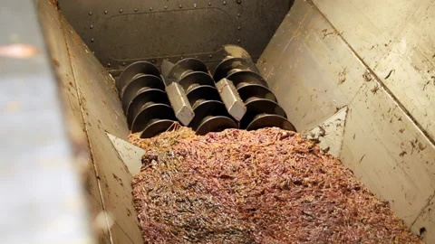 Shredded poultry waste will be processed. Industry. Plant for processing waste Stock Footage 192889711