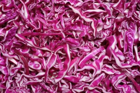 Shredded red cabbage background Stock Photos