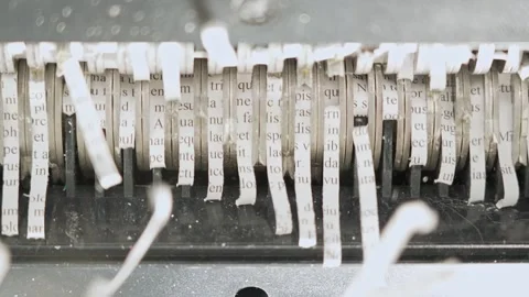 Shredded sensitive information documents with lorem ipsum text sequence foo.. Stock Footage 254805219