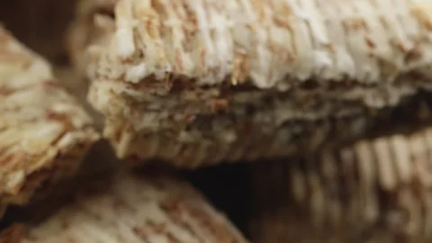 Shredded wheat cereal mini macro close up presentation slowly rotating stoc.. Stock Footage 344685330