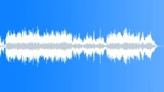 Shredder (WP) 05 Alt4 (futuristic, dnb,fast, dark) Stock Music