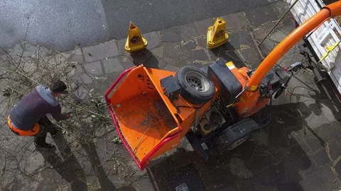 Shredding plants Stock Footage 150384170