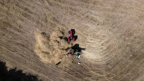 Shredding weeds in the field using the old classic method Stock Footage 170617810