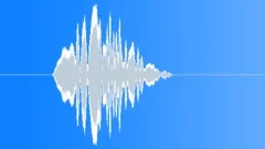 ShrillSound Effect