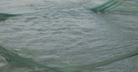 Shrimp and fish nets in the water to catch seafood Video stock 76679281