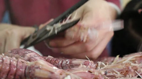 Shrimp and scissors Stock Footage 58627270