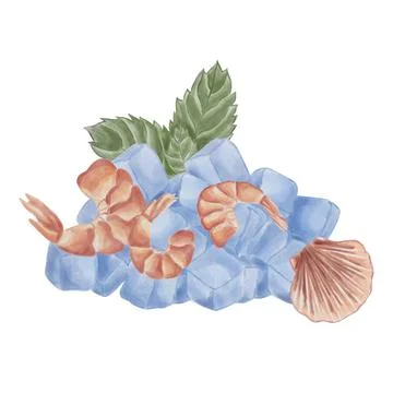 Shrimp and shellfish rest on ice cubes with a mint leaf in the background. .. Stock Illustration