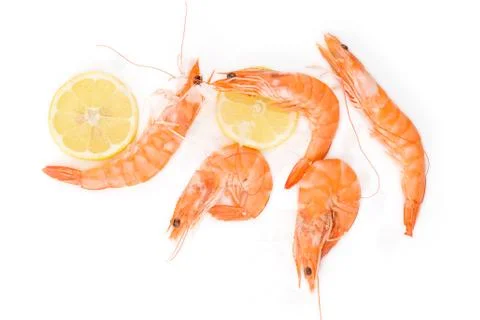Shrimp background with copyspace. Stock Photos