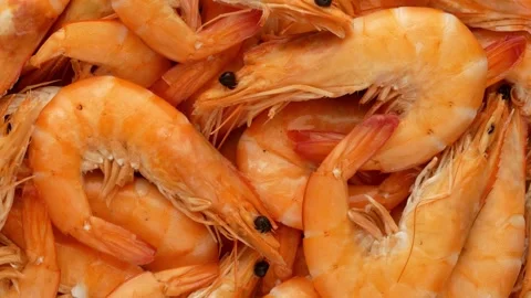 Shrimp - background. Prawn, rotation. Stock Footage 140433634
