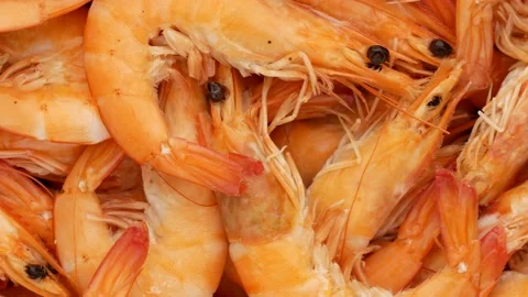 Shrimp - background. Seafood. Prawn. Stock-Footage 139758229