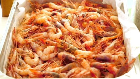 Shrimp in a baking tray Video stock 117920592