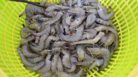 Shrimp in the basket Stock Footage 69187324