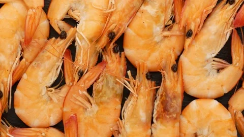 Shrimp on a black background. Stock Footage 140041174