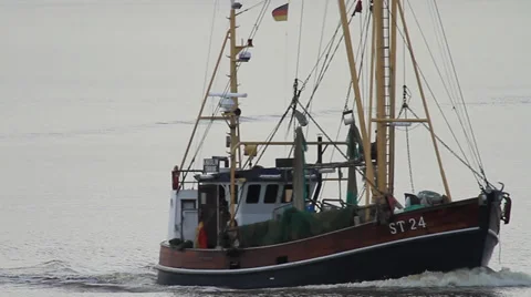 Shrimp Boat Vídeos de archivo 31445675