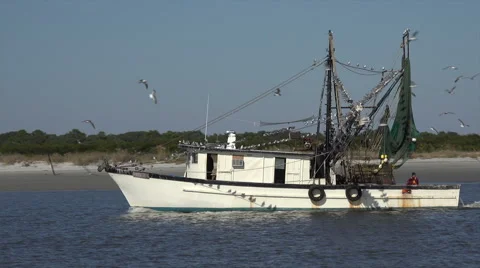 Shrimp boat returns to harbor, jekyll island, ga, usa Vídeo Stock 45287015