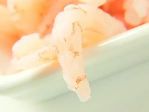 Shrimp, close up Stock Photos