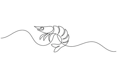 Shrimp continuous one line drawing minimalist style isolated on white backg.. Stock Illustration