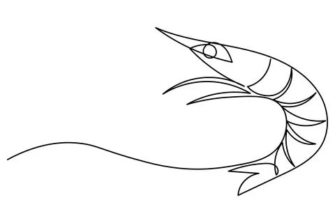 Shrimp continuous one line drawing minimalist style isolated on white backg.. Stock Illustration