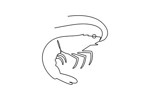 Shrimp continuous one line drawing minimalist style isolated on white backg.. Stock Illustration