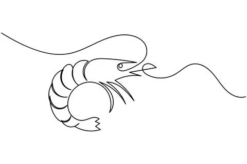 Shrimp continuous one line drawing minimalist style isolated on white backg.. Stock Illustration