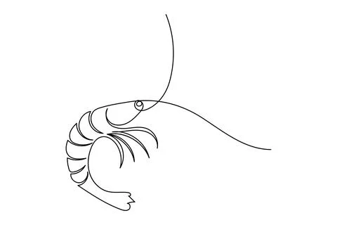 Shrimp continuous one line drawing minimalist style isolated on white backg.. Illustrazione stock