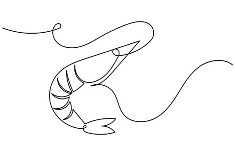 Shrimp continuous one line drawing minimalist style isolated on white backg.. Stock Illustration