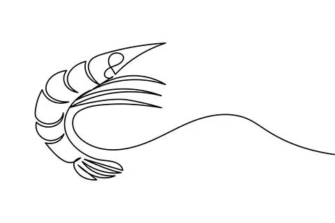 Shrimp continuous one line drawing minimalist style isolated on white backg.. Stock Illustration