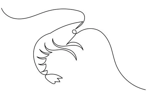 Shrimp continuous one line drawing minimalist style isolated on white backg.. Illustrazione stock