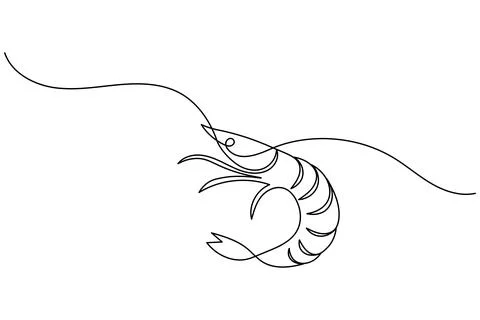 Shrimp continuous one line drawing minimalist style isolated on white backg.. Stock Illustration