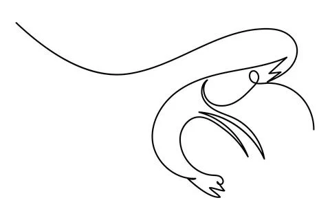 Shrimp continuous one line drawing minimalist style isolated on white backg.. Stock Illustration