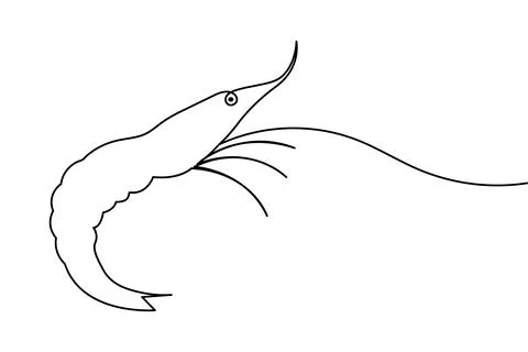 Shrimp continuous one line drawing minimalist style isolated on white backg.. Stock Illustration
