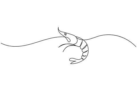 Shrimp continuous one line drawing minimalist style isolated on white backg.. Stock Illustration