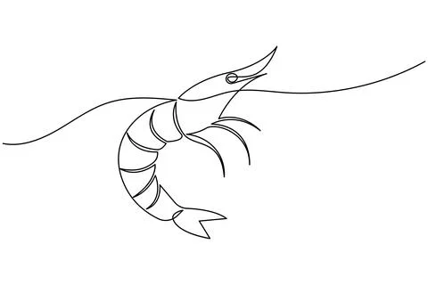 Shrimp continuous one line drawing minimalist style isolated on white backg.. Stock Illustration