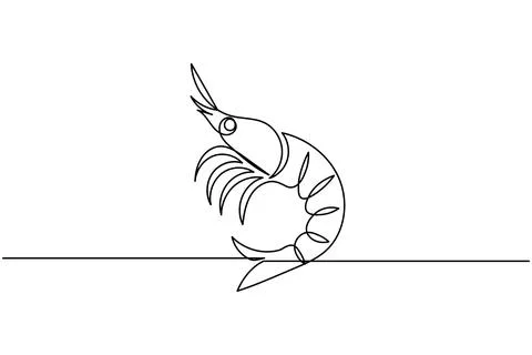 Shrimp continuous one line drawing minimalist style isolated on white backg.. Illustrazione stock